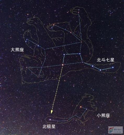 哪个星座最矮|小熊座